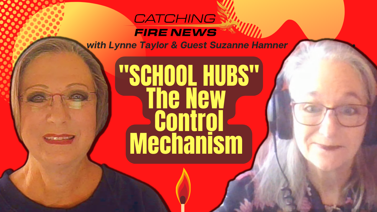 "School Hubs" The New Control Mechanism