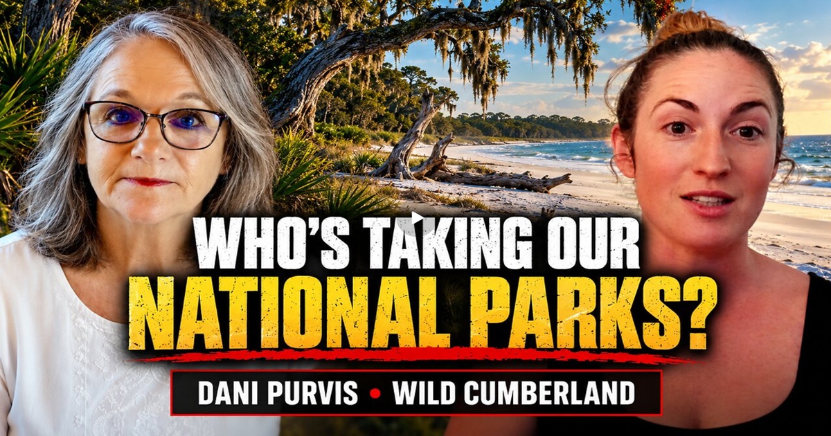 Clear Sightings: WHO’S TAKING OUR NATIONAL PARKS? | Dani Purvis, Wild Cumberland